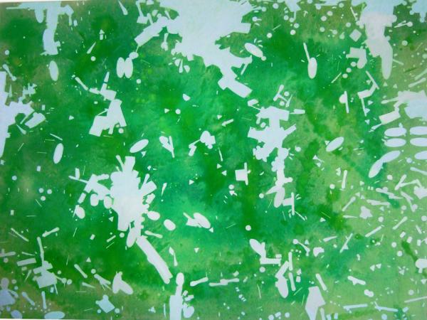 Grüne Hölle,  2014