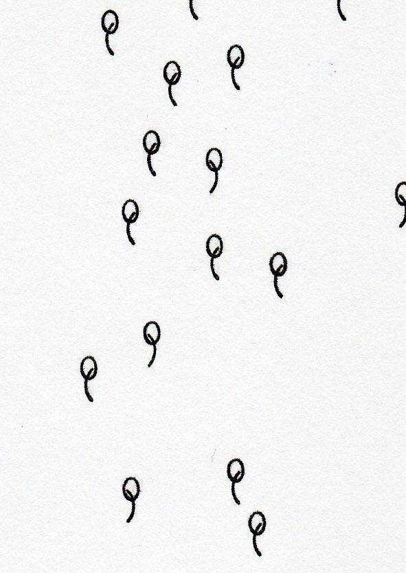 Triumpf2000_5detailWEB