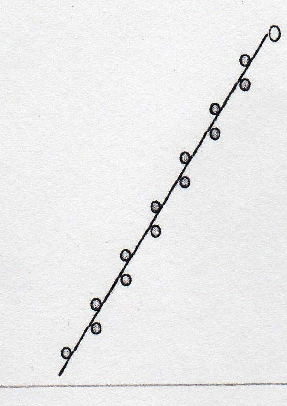 Triumpf2000_17detailWEB