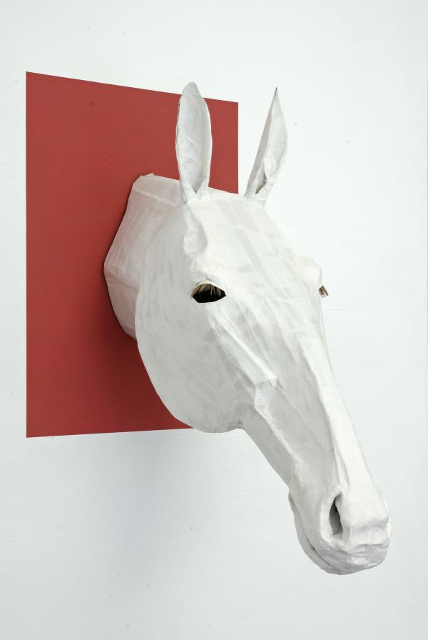 DSC_0172korr_andereGr